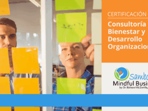 Certificación en Consultoría en Bienestar y Desarrollo Organizacional (virtual online)