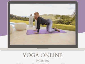 Clases de Yoga y Meditación / 4 Grupales /  Online en vivo  / jueves