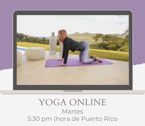 Clases de Yoga y Meditación / 4 Grupales /  Online en vivo  / Martes